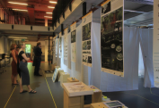 individual graduate projects on display